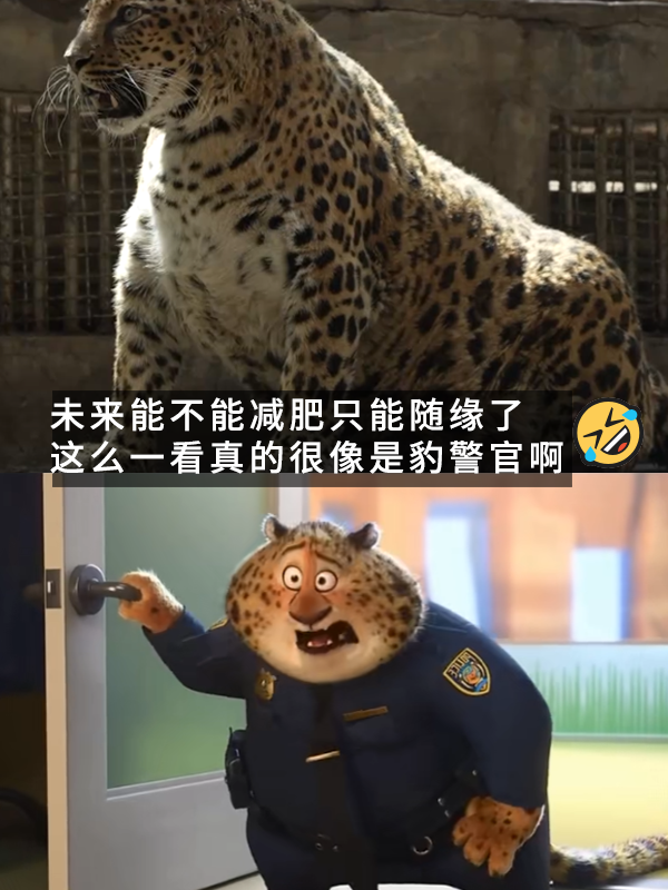 港澳新闻 第407页