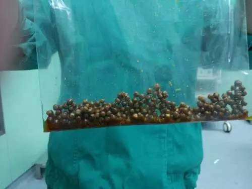 游戏专题 第394页