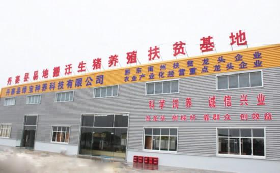 南风草木香 第6页