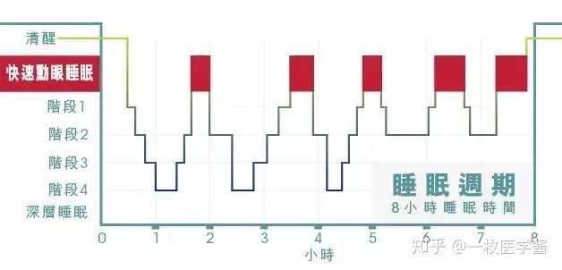 白衬衫，单纯的像孩子。 第4页