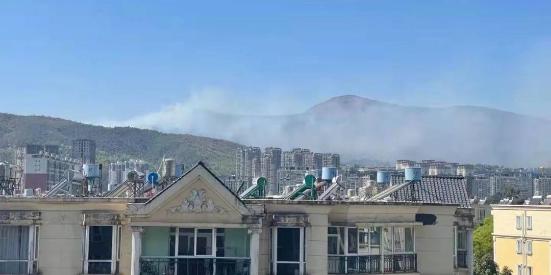 垂耳兔 第3页