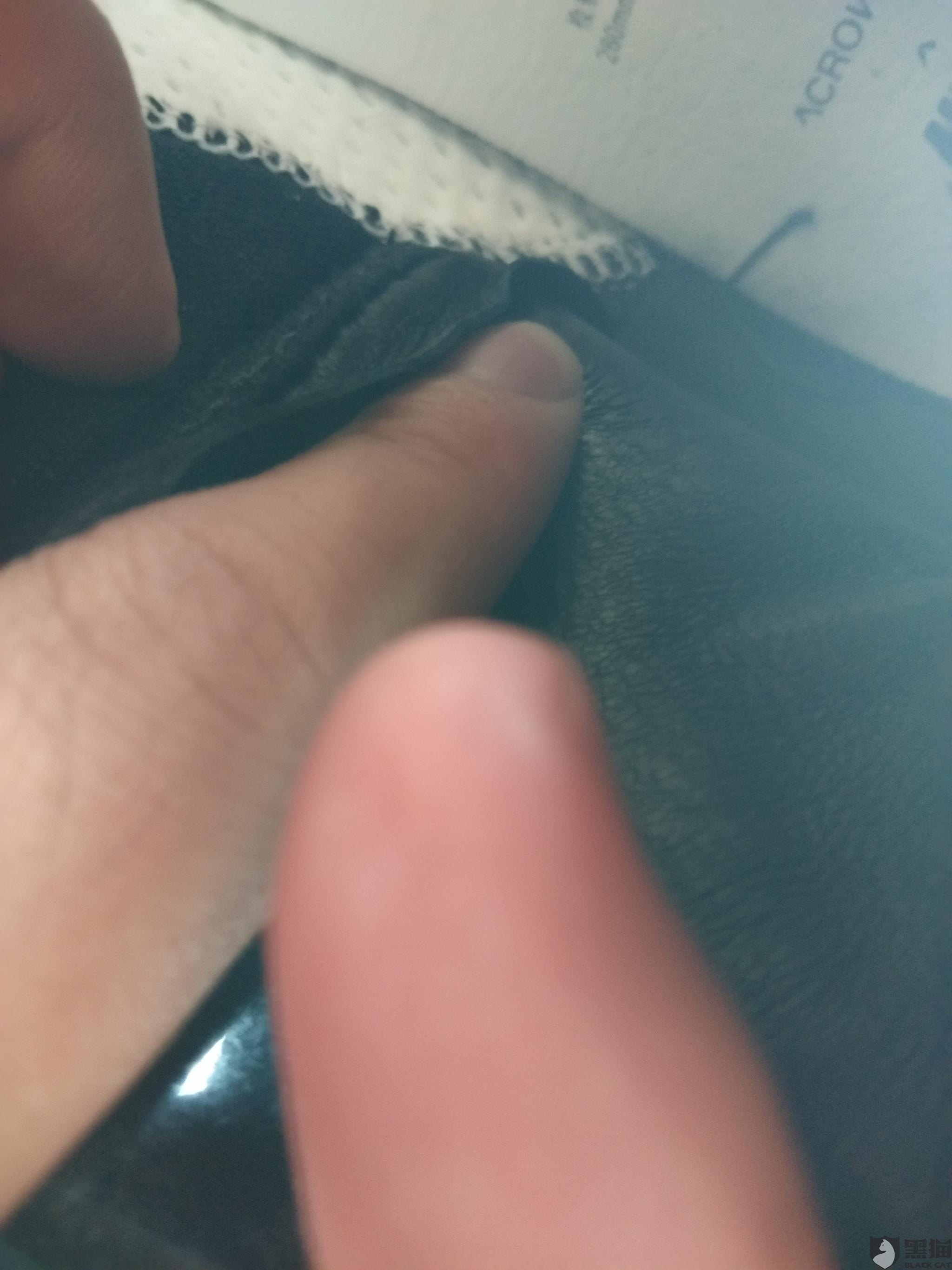 堇色安年，谁许我一世荒芜 第2页
