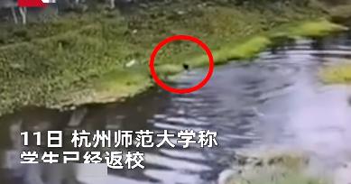 纸上的梦境  