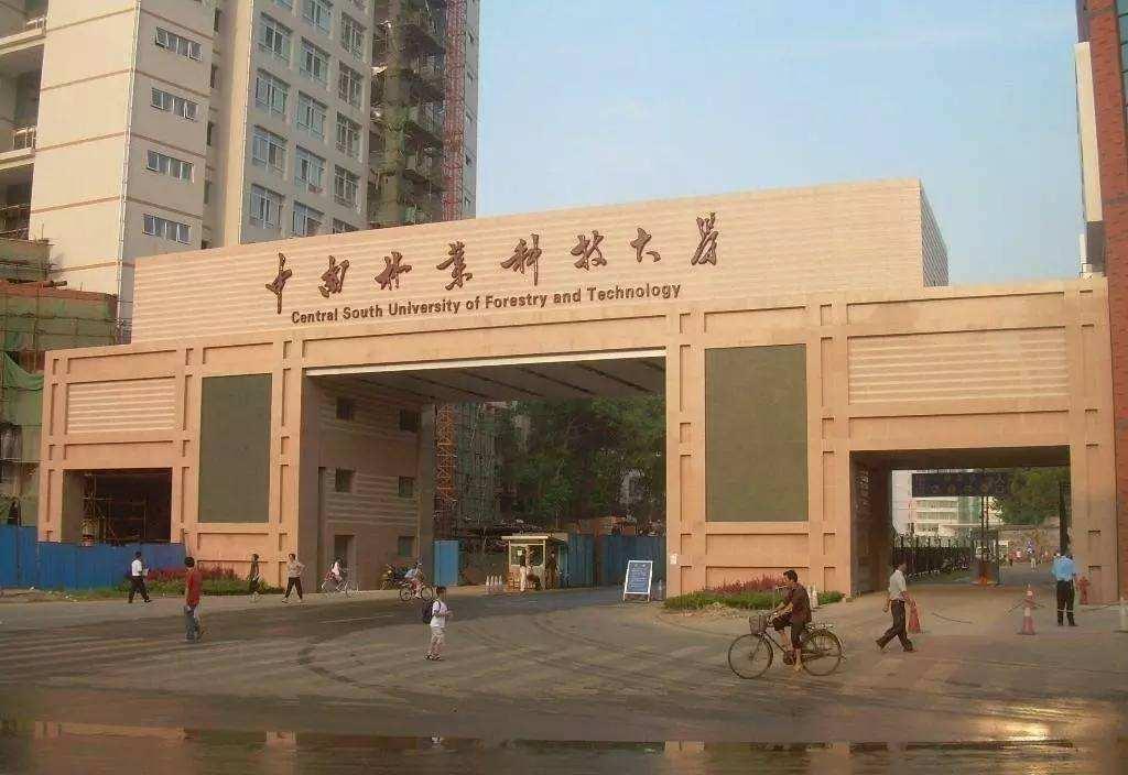 碎了的花