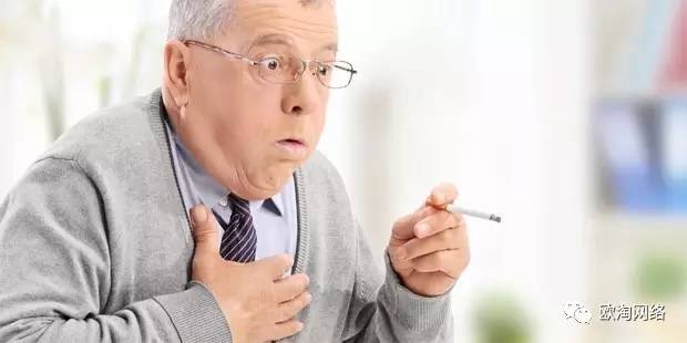 蝴蝶飞舞