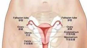 女子被切除子宫，背后的故事与深层思考