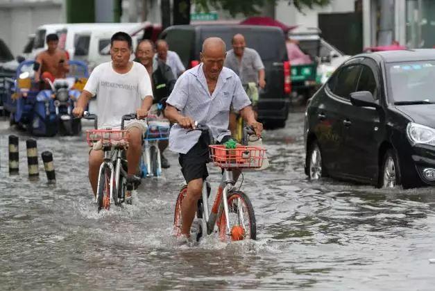 高速桥因强降雨垮塌事件深度解析